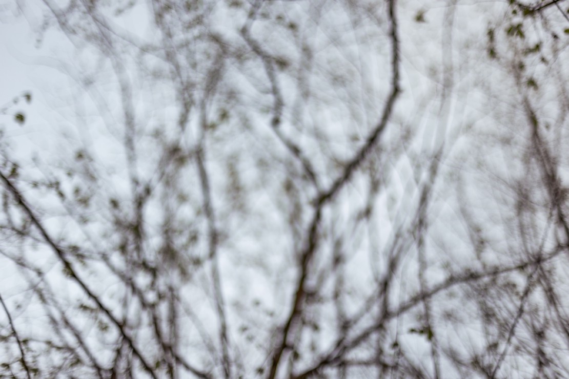 Reconnect With (Your) Nature